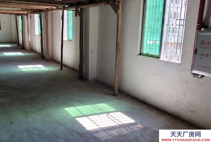 (出租) 汕尾海豐廠房出租做好噴淋消火栓 可做機電五金