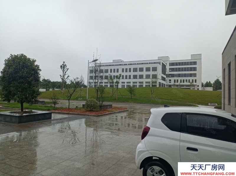 金華市金東(出售) 現房3層半戶型,超寬主路,進出方便,位置優越,先到先得印刷 注塑 小加工