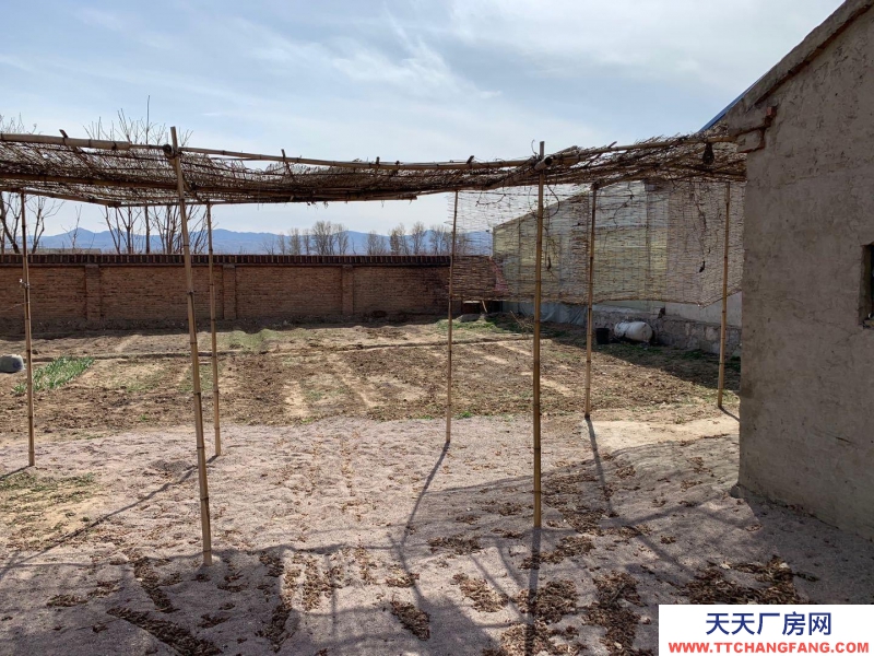 張家口 宣化  (出售) 張宣公路臨街炒貨食品及堅果制品廠房出售