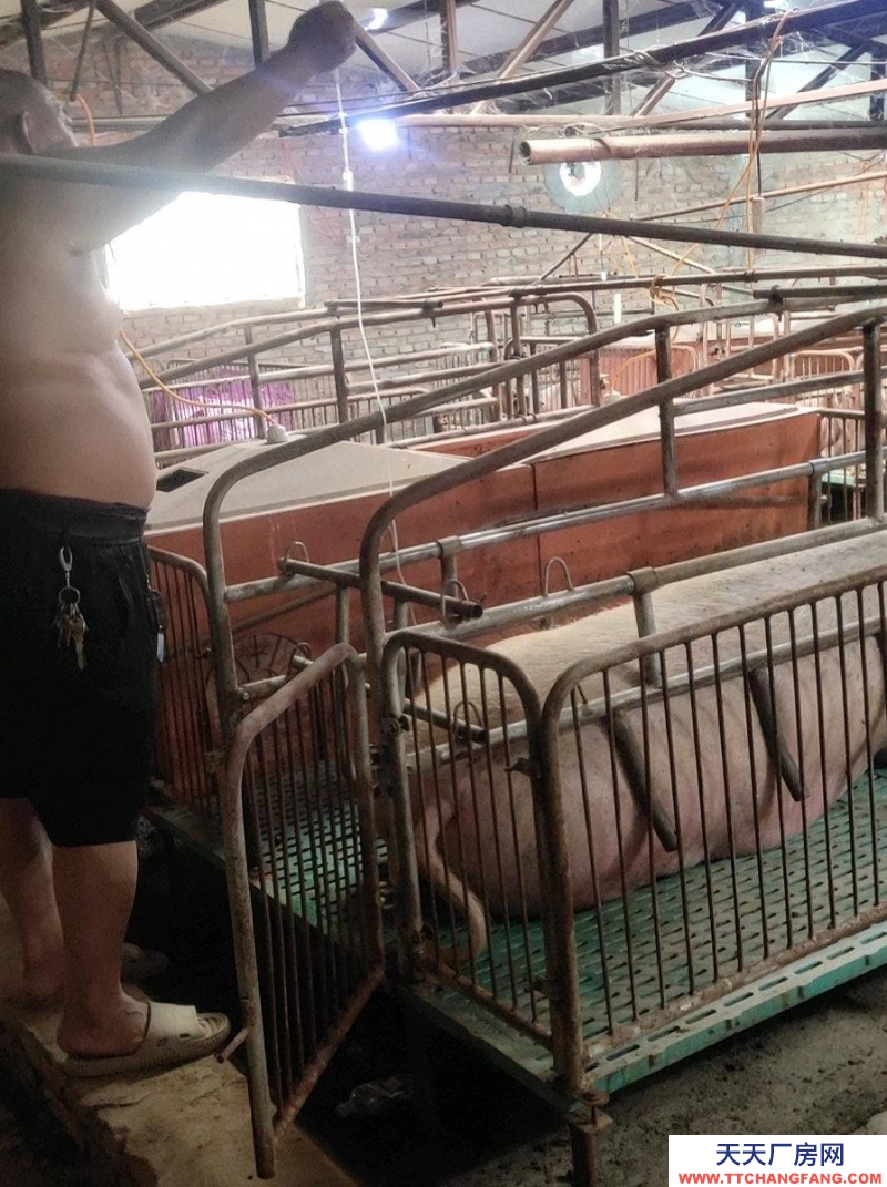 張家口 宣化  (出售) 這是一個豬廠，水電齊全