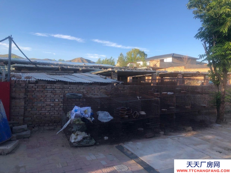 張家口 宣化  (出租) 急出租 獨(dú)門獨(dú)院適合休閑娛樂的農(nóng)村小院