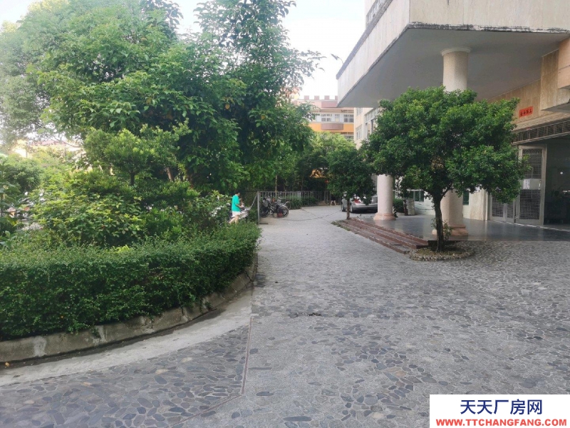 (出租) 汕尾海豐廣東威文服裝有限公司二樓可做服裝