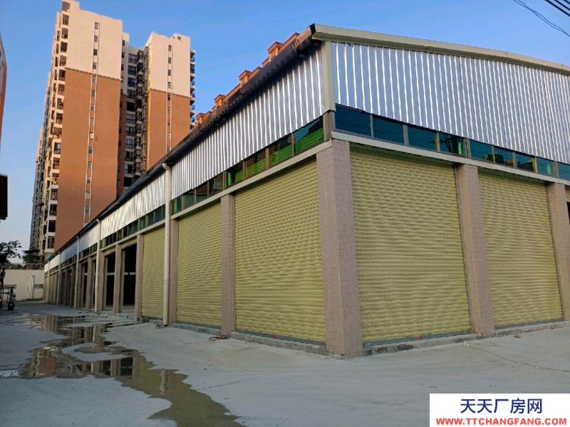 (出租) 汕尾海豐位于附城鎮鯉魚山工業區，交通方便。適合小型加工