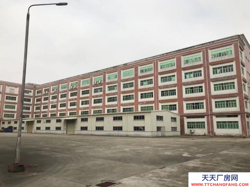(出租) 汕尾海豐城東廠房 倉庫 500-6000平方 配有三相電 消防適合紡織行業
