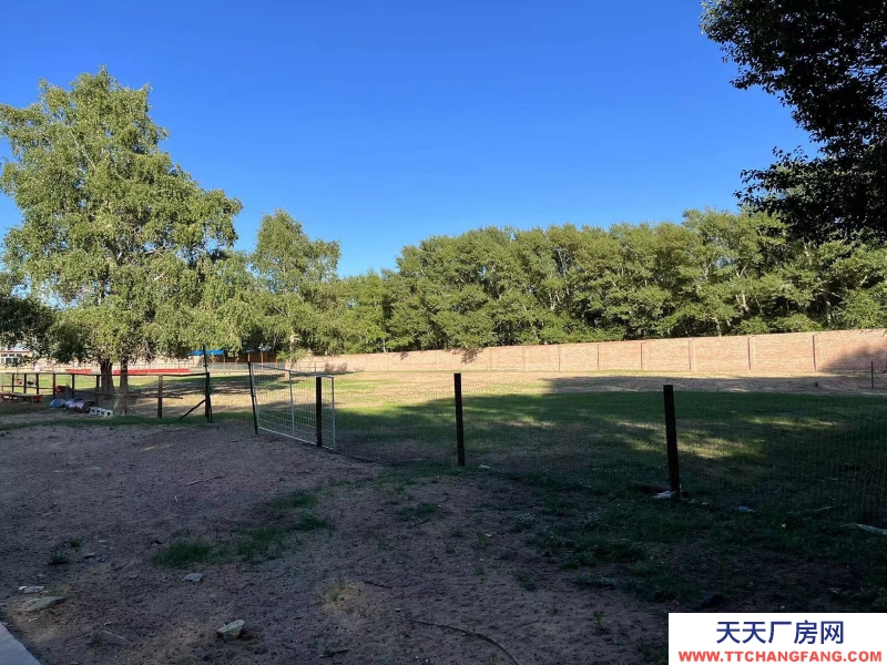 張家口 張北縣 (出租) 養(yǎng)殖場出租，離天路近