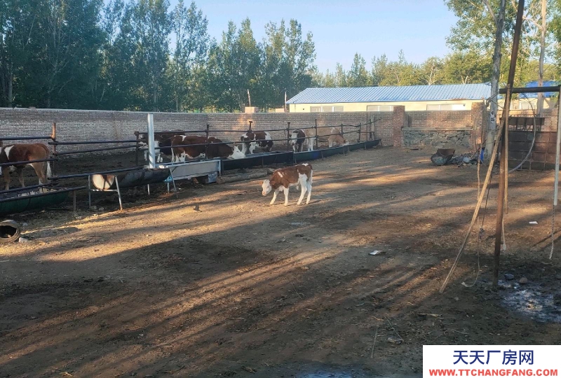 張家口 張北縣 (出租) 罐頭 廠房出租，緊鄰南山公園