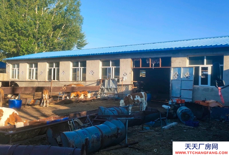 張家口 張北縣 (出租) 罐頭 廠房出租，緊鄰南山公園