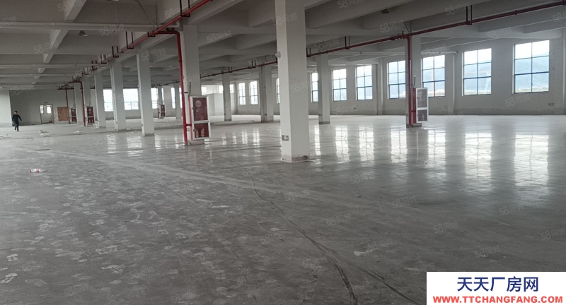 金華市武義(出租) 冷水坑標準廠房一樓800樓上4600平，出入方便，廠房全新，五金加工 機械制造