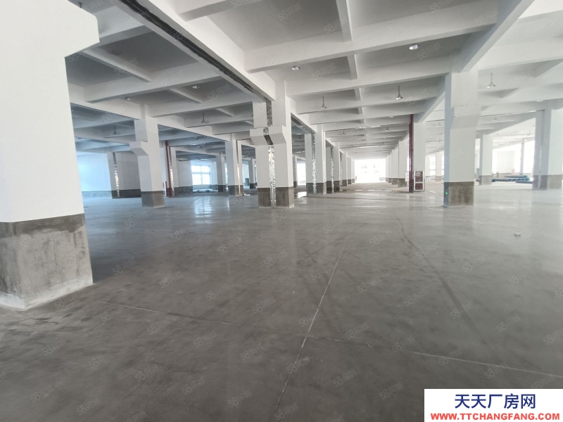 金華市武義(出租) 冷水坑標(biāo)準(zhǔn)廠房一樓800樓上4600平,出入方便,廠房全新,五金加工 機(jī)械制造