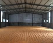 (出租) 周口淮陽面積大，臨街，交通便利