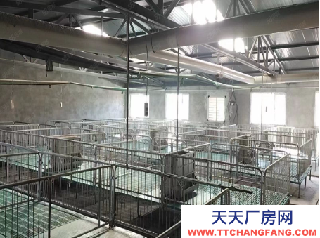 (出租) 和林城關鎮大南溝村3000平米豬舍出租 可出售