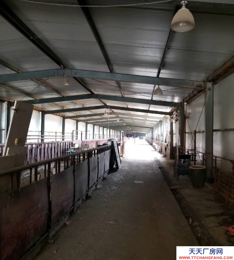 (出租) 和林格爾乳都大型養殖場地出租，合作