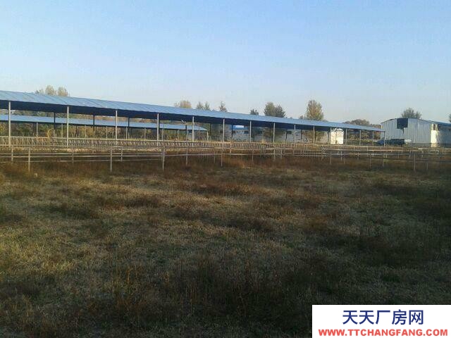 (出租) 和林格爾專業(yè)牧場,牛,羊基地,水電齊全,交通便利。