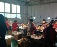 (出租) 周口鹿邑廠房出租美容化妝產(chǎn)業(yè)鹿邑縣開(kāi)發(fā)區(qū)