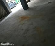 (出租) 周口鹿邑水，電都有，出路方便，年租