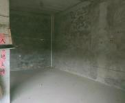 (出租) 周口鹿邑自家建的房，門面靠路，南通外環(huán)。北通谷陽路