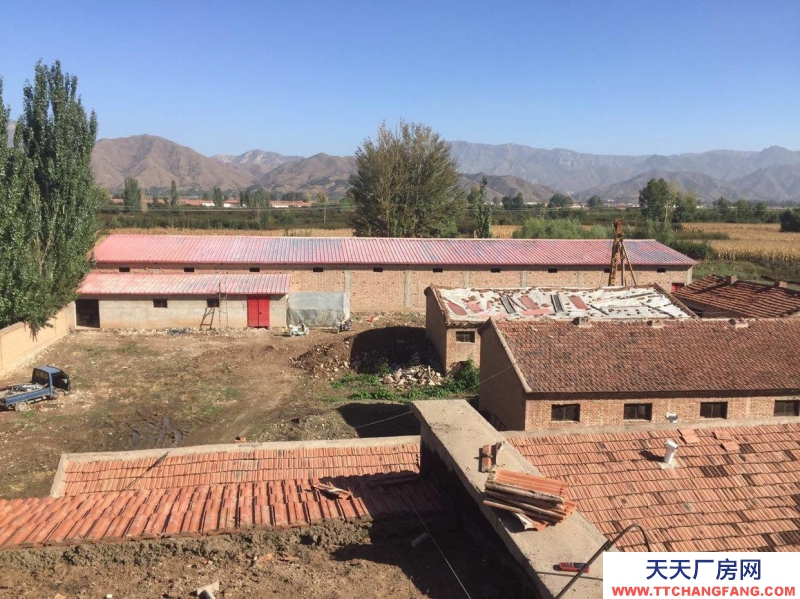 (出售) 土默特左旗養殖場要明天早起國道旁十畝地價格好商量 急出