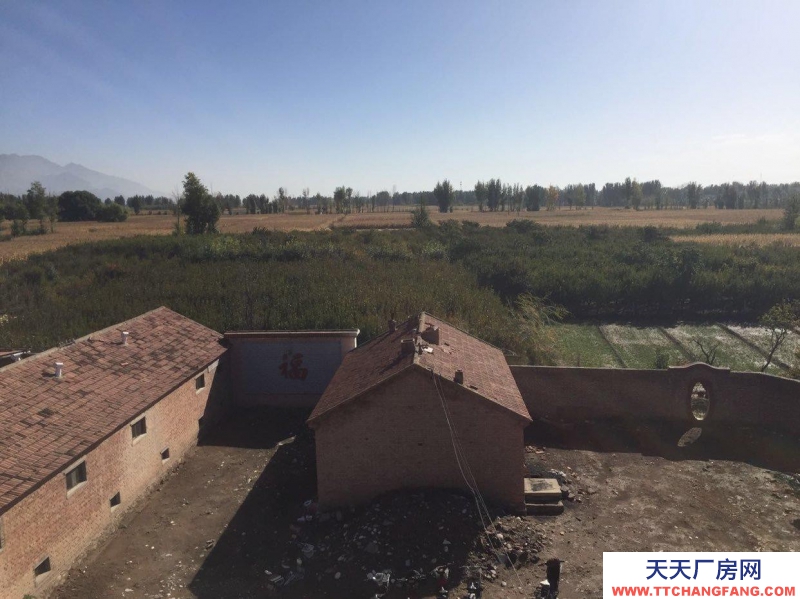 (出售) 土默特左旗養殖場要明天早起國道旁十畝地價格好商量 急出