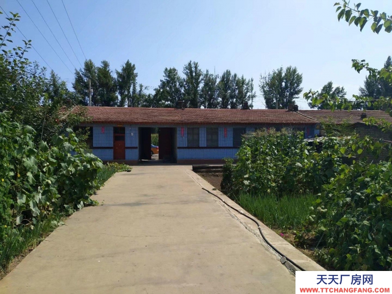 (出售)  土默特左旗可改食品廠正房5間 南房5間 院里水泥路