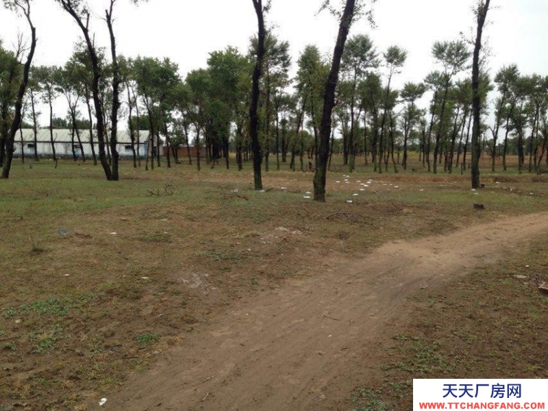 (出售) 土默特左旗沙爾營鄉新圪力圪太村廠房養殖場