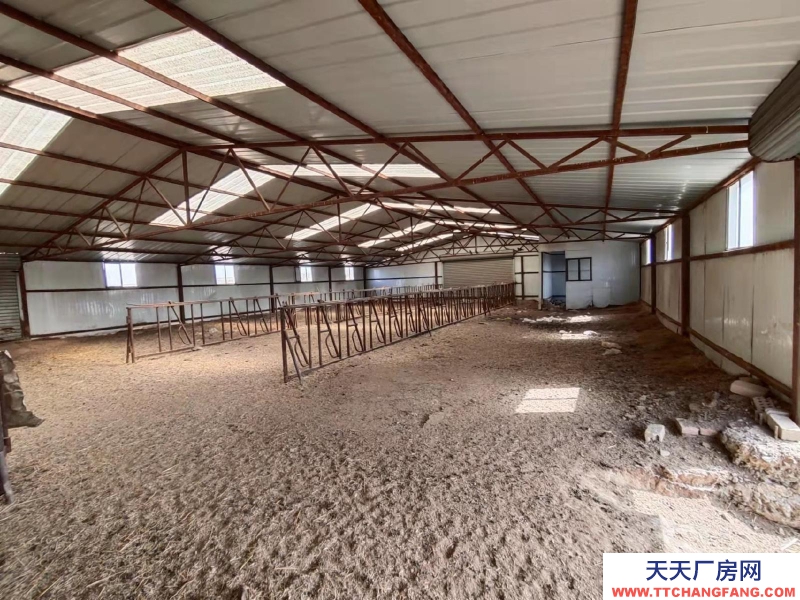 (出售) 武川養(yǎng)殖場(chǎng)適合各種養(yǎng)殖，。