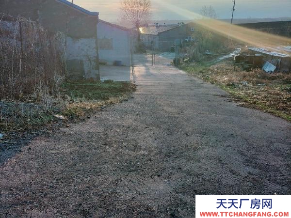 賓縣占地面積兩千多平設備廠房＋住房面積1600平。