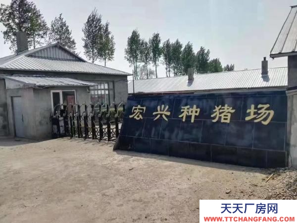 巴彥豬場基礎設施良好，可直接進場