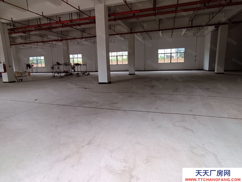 (出租) 河源市源城東源縣徐洞工業(yè)園獨(dú)院廠房出租適合預(yù)制菜加工