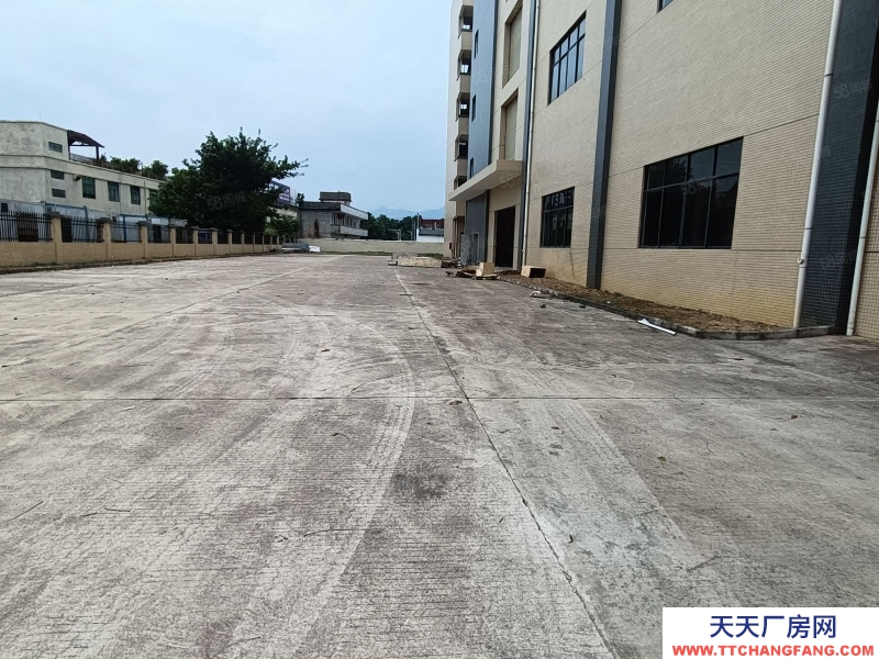 (出租) 河源市源城東源縣徐洞工業(yè)園獨院廠房出租適合預制菜加工