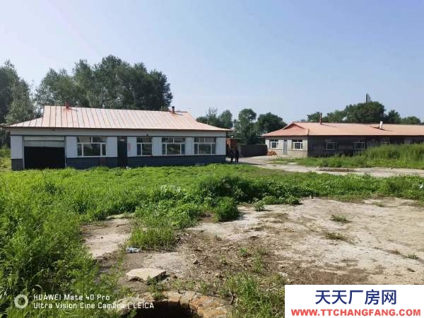 阿城出租出售冷凍飲品廠房6000平米