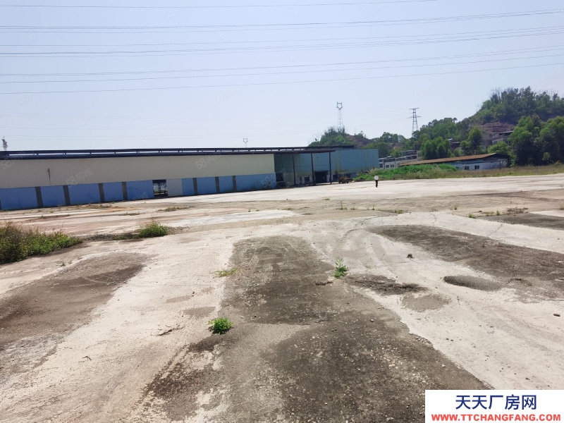 (出租) 河源市源城區(qū)獨(dú)院廠房出租，空地20000平已硬化，廠房層高12米可做肉制品加工