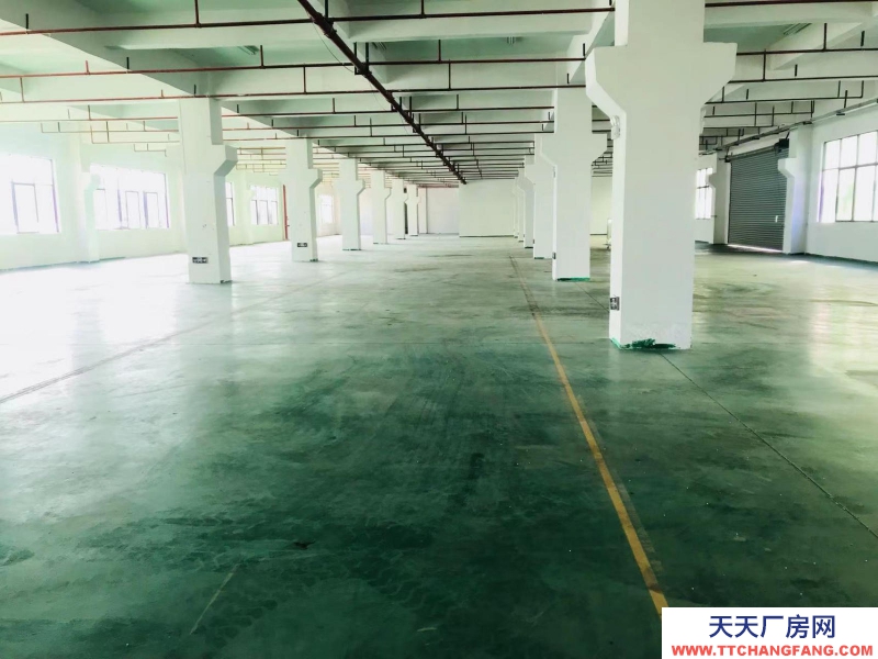 (出租) 河源市源城區3000平方米廠房可做發酵制品