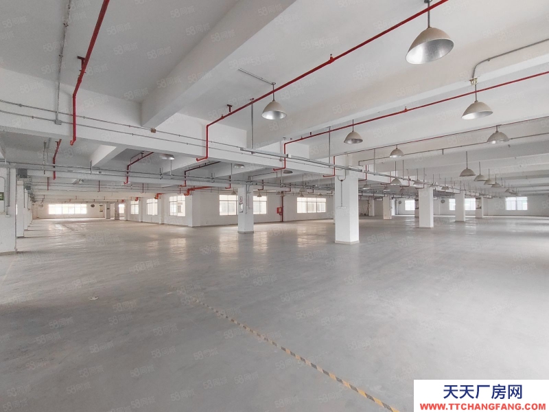 (出租) 河源源城整層2000平方廠房出租，獨(dú)門(mén)獨(dú)院可做食品添加劑行業(yè)