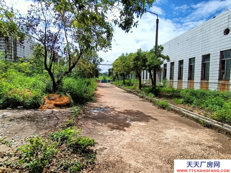 (出租) 河源市東源縣原房東獨(dú)門(mén)獨(dú)院廠房招租可分租適合其他乳制品類(lèi)