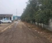 (出租) 周口項城手續齊全，建設用地，自建廠房。