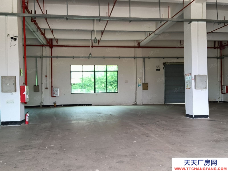 (出租) 河源市源城江東新區原房東標準廠房招租可做干制果蔬類