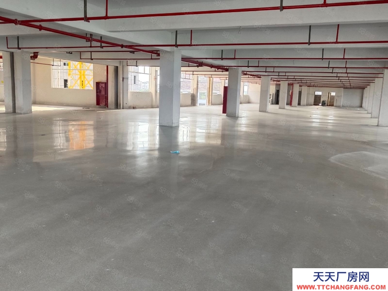 金華市浦江(出租) 黃宅全新2100平，可做輕污染行業