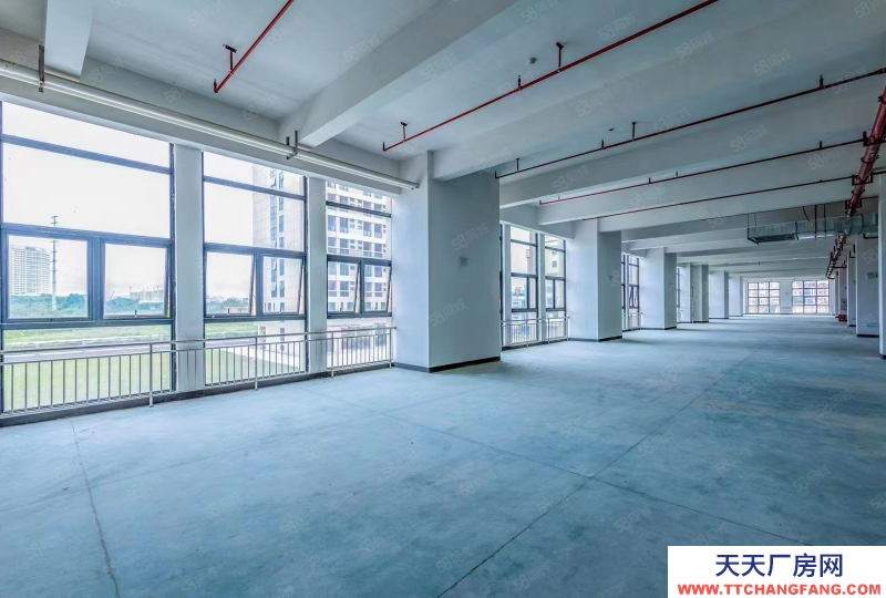 (出租) 河源源城無公攤面積,標準廠房5000平米可做方便食品制造行業