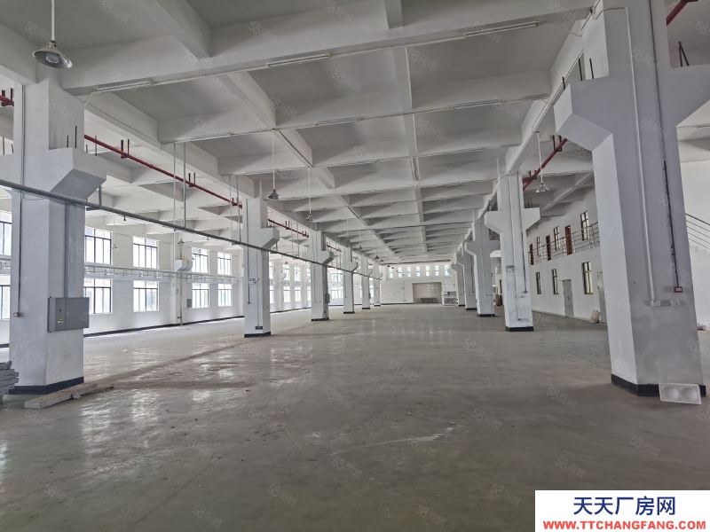 (出租) 河源源城區高新五路原房東獨院出租23000平方可分租生產倉庫均可做谷物膨化類