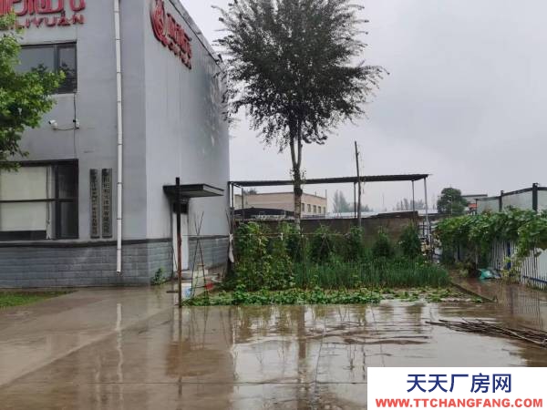 銀川市金鳳餅干廠房 金鳳區(qū)工業(yè)園區(qū)A區(qū)56號(hào)寶湖路北側(cè)