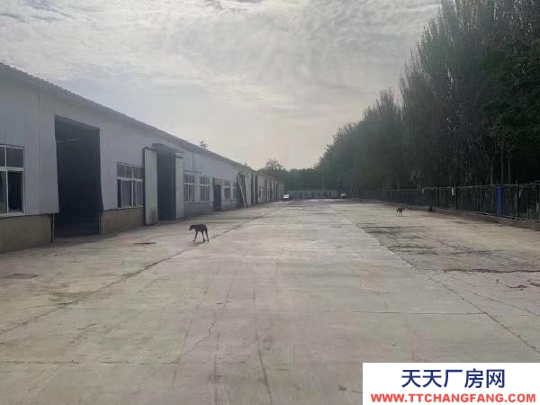 銀川市金鳳機加工廠房 可小面積租出 隨時看房