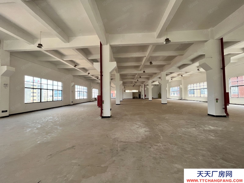 (出租) 河源市紫金縣臨江工業區緯一路新出1000平米標準廠房可做速凍食品行業