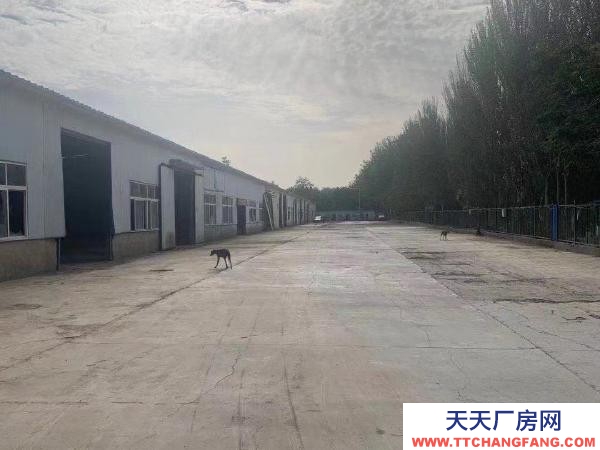 銀川市金鳳機(jī)加工廠房 4000千平米庫房可小面積出租隨時實(shí)地看房