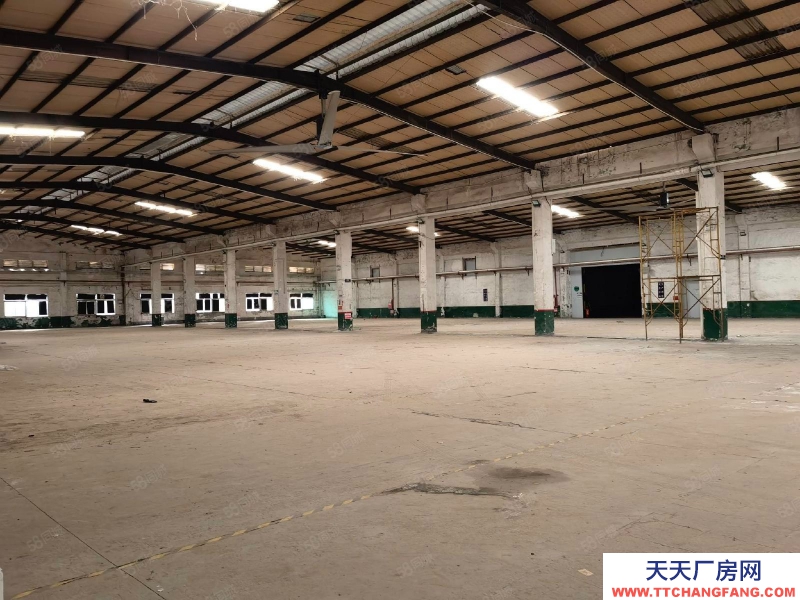 (出租) 河源紫金臨江5000平方鋼構廠房適合五金機電