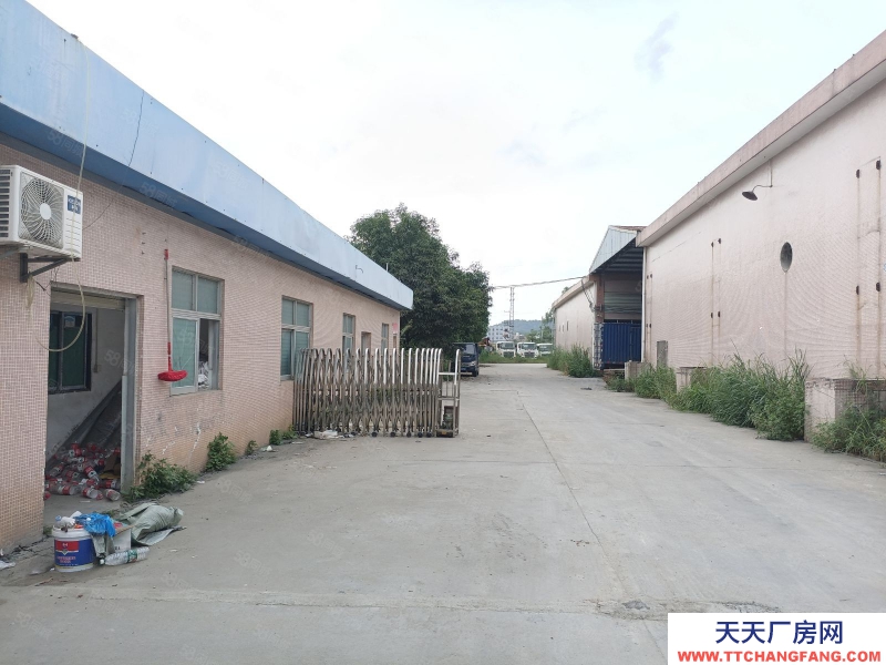 (出租) 河源紫金江東新區臨江工業園，獨門獨院可辦環評可做糖果行業