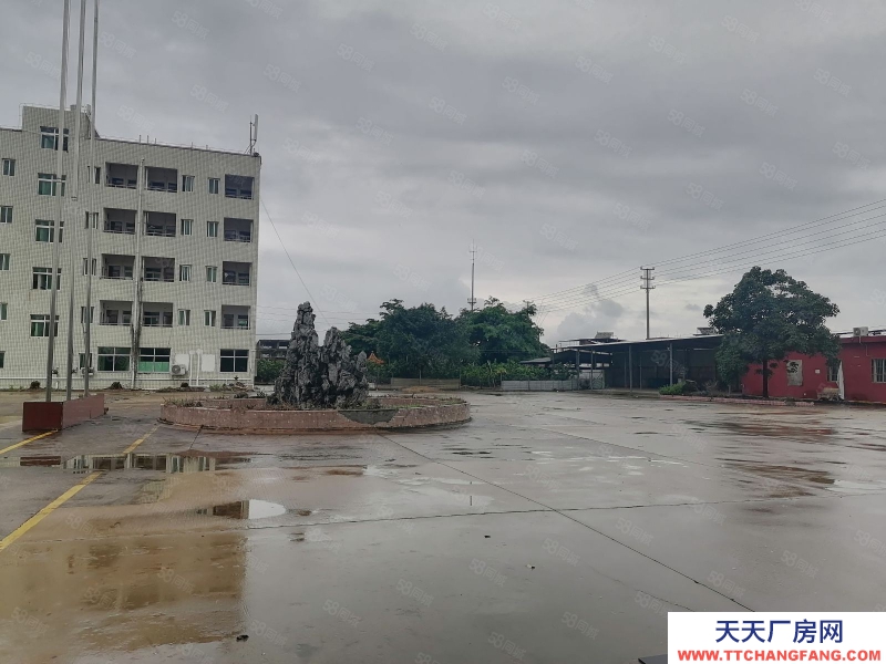 (出租) 河源紫金臨江工業園 獨院廠房可做休閑食品