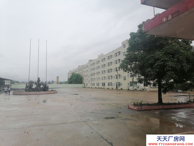 (出租) 河源紫金臨江工業園 獨院廠房可做休閑食品