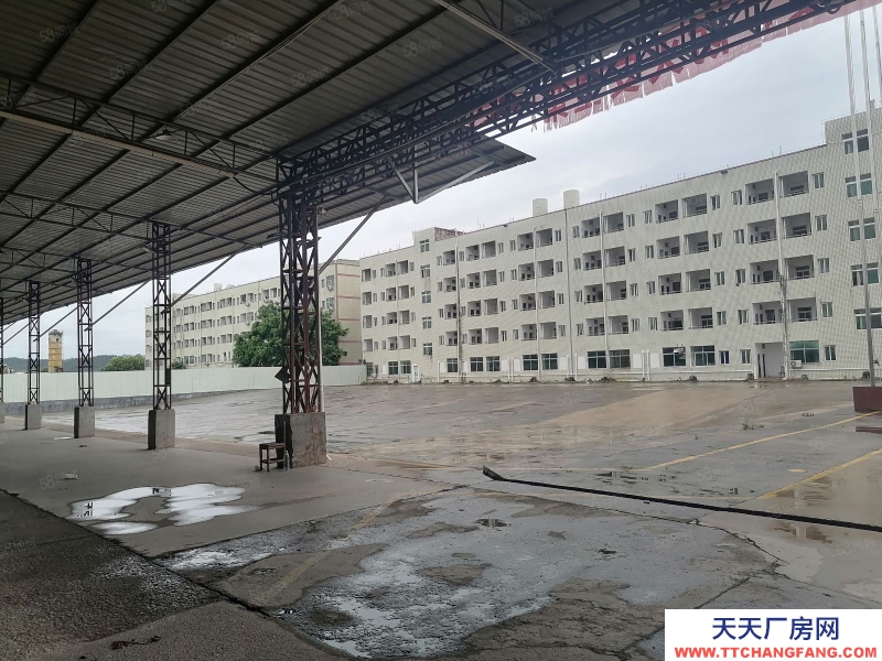 (出租) 河源紫金臨江工業園 獨院廠房可做休閑食品