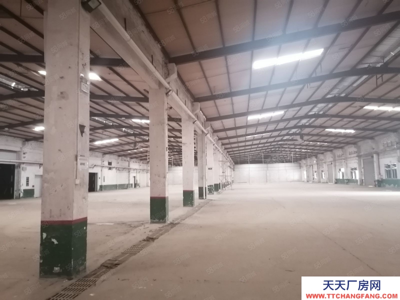 (出租) 河源紫金臨江原房東1000平方鋼構廠房出租 低價出租 不限行業