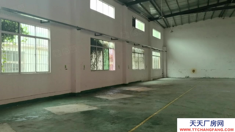 (出租) 河源紫金臨江原房東1000平方鋼構廠房出租 低價出租 不限行業